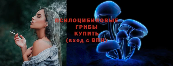 крисы Армянск