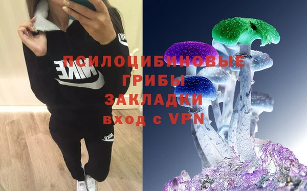 крисы Армянск